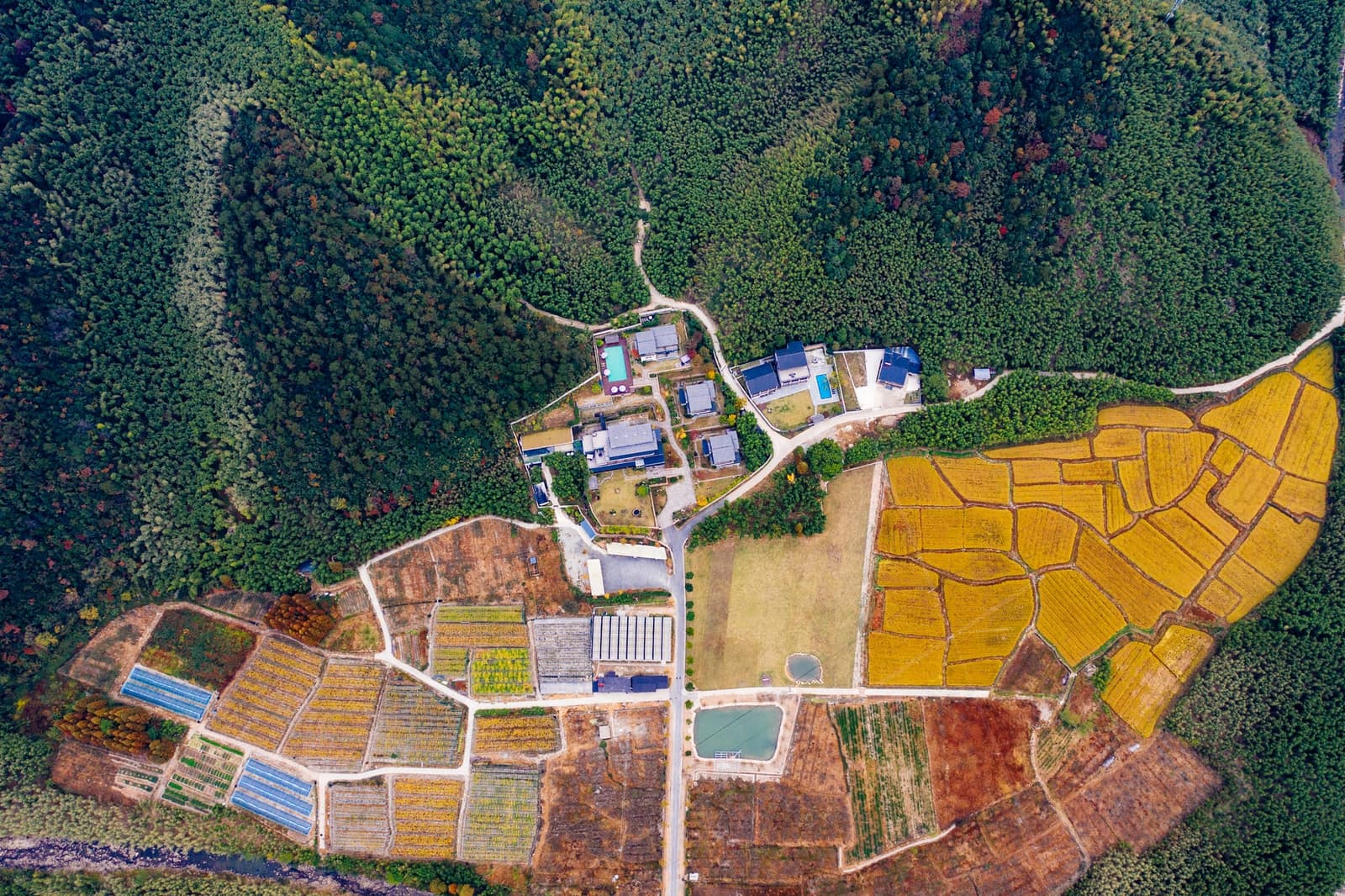 莫干山缦田生态度假酒店,山谷里的田园牧歌,300亩生态庄园