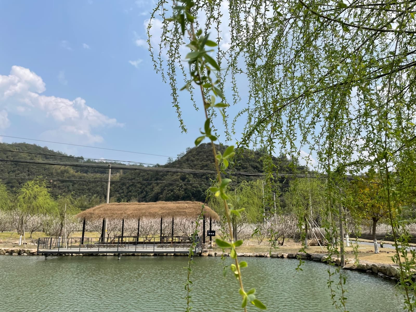 莫干山缦田垂钓体验