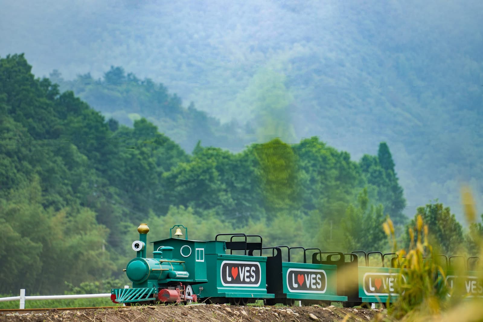 莫干山缦田稻田小火车