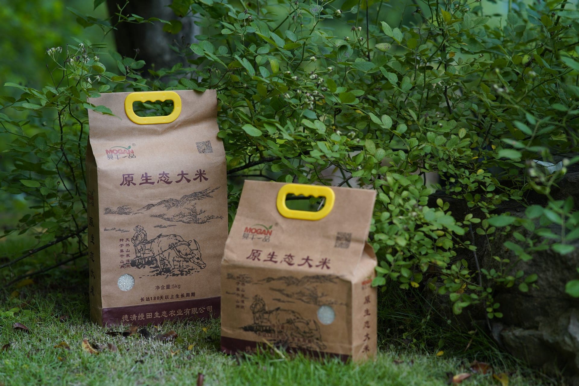 莫干山缦田莫干一品有机大米