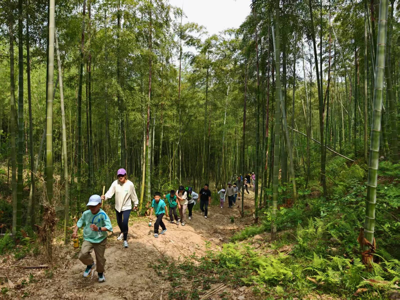 莫干山缦田竹林徒步